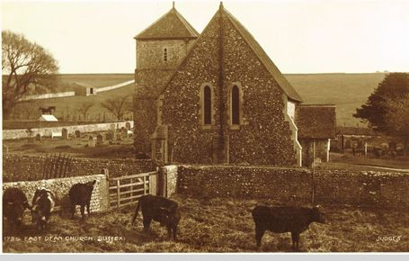 East Dean Church with cattle